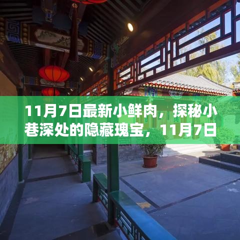 商品分类 第554页