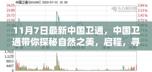 案例 第542页