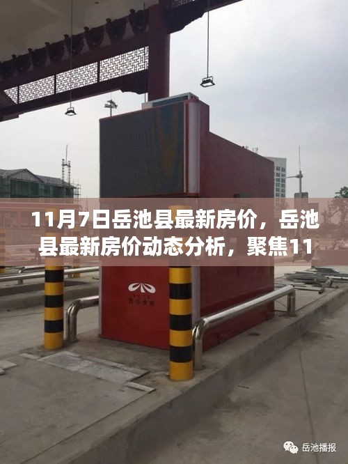 案例 第539页