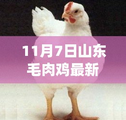 悠然自得 第45页