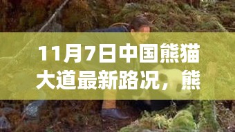 回眸最初 第45页