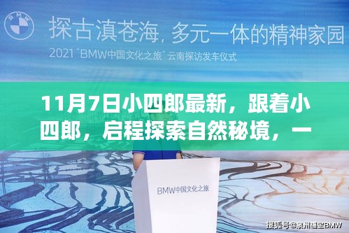 案例 第529页