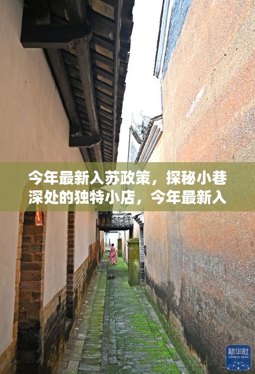 新闻 第531页