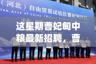 手舞足蹈 第46页
