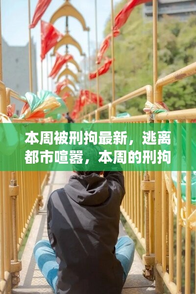 九死一生 第40页