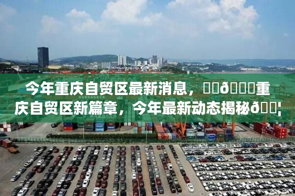目不转睛 第43页