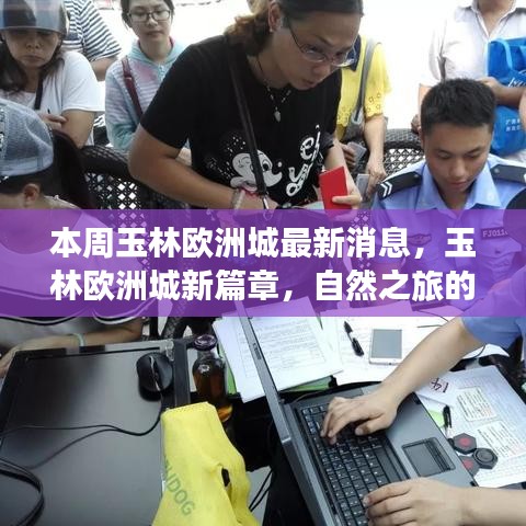 admin 第40页