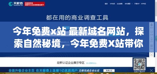 商品分类 第515页