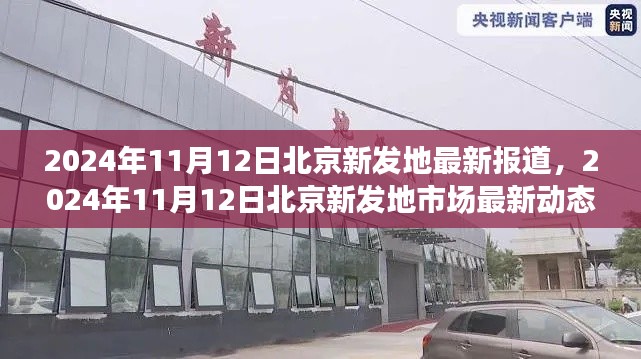 初告白 第41页