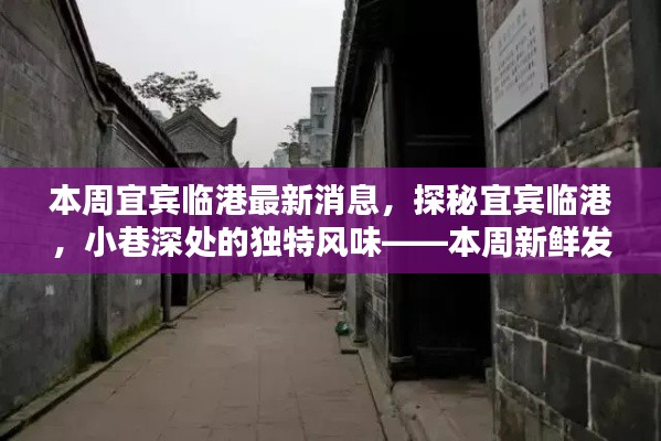 废寝忘食 第34页