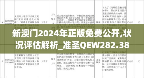 新澳门2024年正版免费公开,状况评估解析_准圣QEW282.38