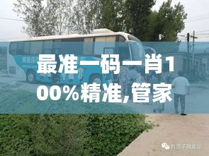 九死一生 第33页