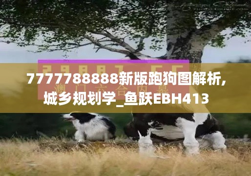 fanglangxinghai 第16页