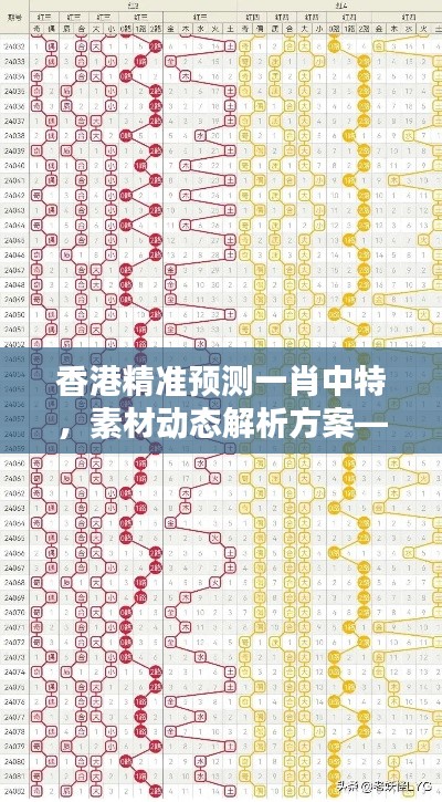 zhengjinweizuo 第13页