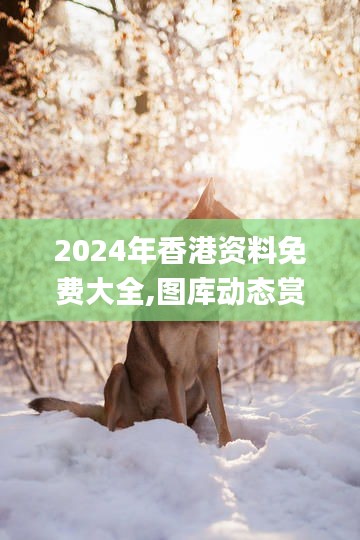 mantianfeiwu 第14页