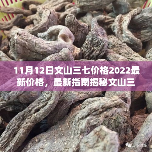 浅笑轻吟梦一曲 第35页