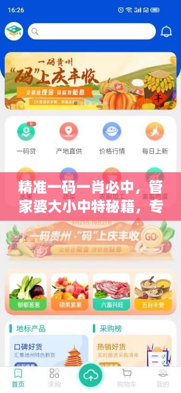 条款 第349页