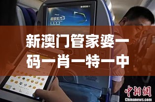 评价 第334页