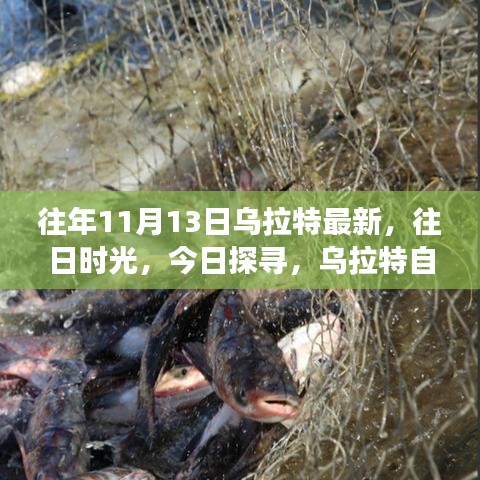评价 第284页