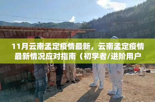 条款 第262页