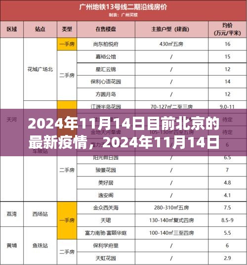 条款 第259页