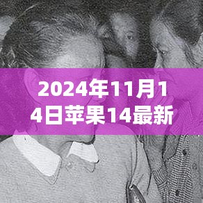 对答如流 第23页