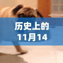 admin 第23页