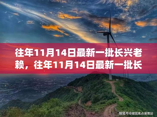 星星打烊 第19页