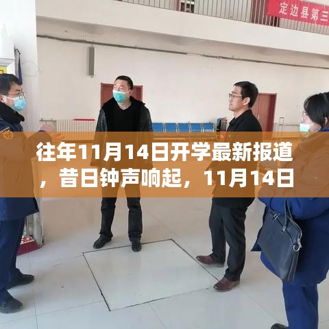 案例 第228页