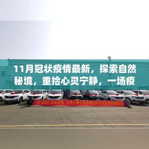 花开无言 第18页