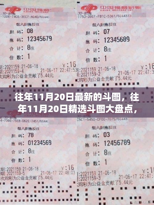 条款 第239页