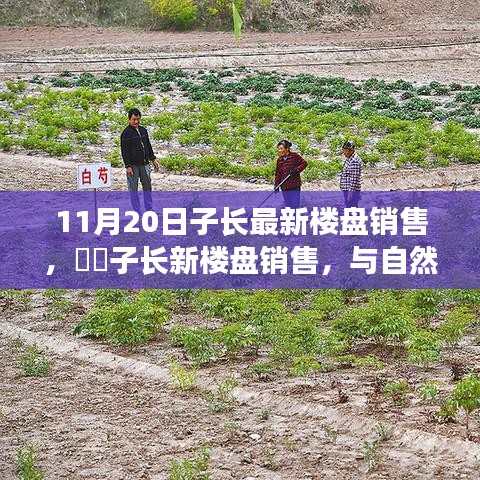 评价 第243页