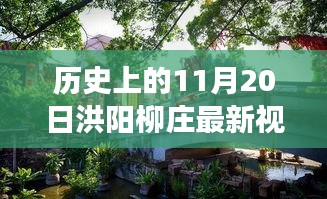 产品 第238页