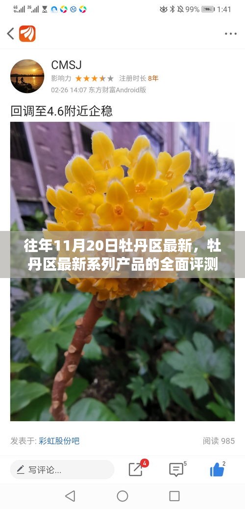 初告白 第19页