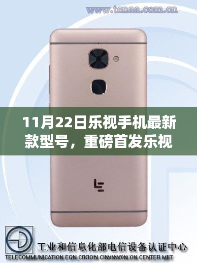 橘虞初梦 第17页