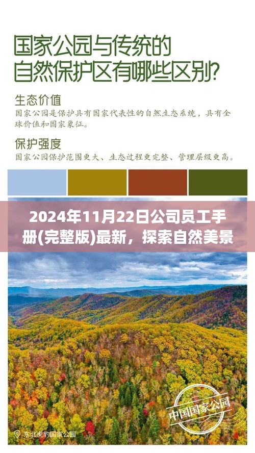 没精打采 第18页