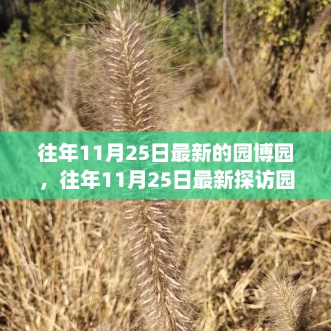 浅笑轻吟梦一曲 第20页