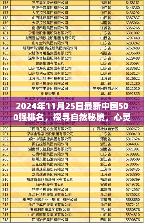 容光焕发 第15页