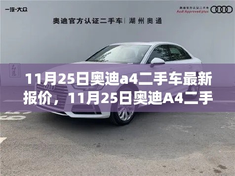 初告白 第16页