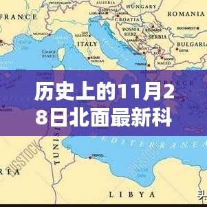 初告白 第15页