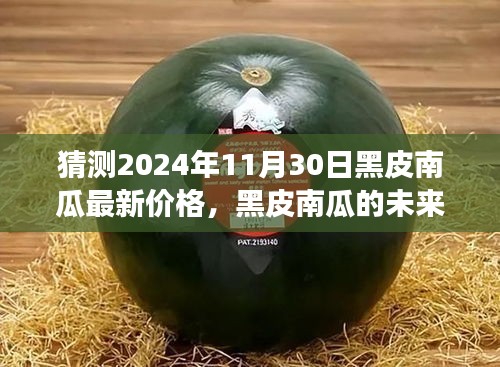 走马观花 第15页