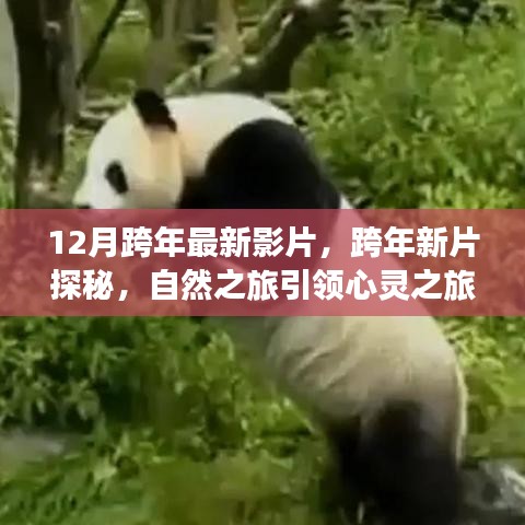 产品 第199页