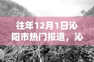 九死一生 第14页