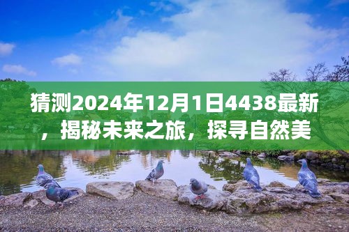 揭秘未来之旅，启程于2024年探寻自然美景的奇妙之旅篇章开启！