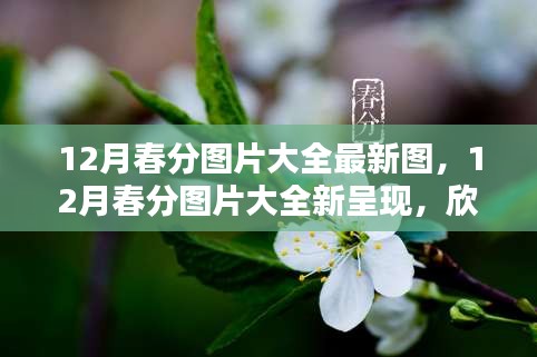 橘虞初梦 第11页