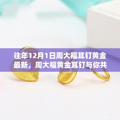 走马观花 第13页