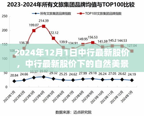 目不转睛 第13页