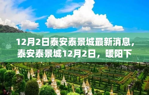 星星打烊 第11页
