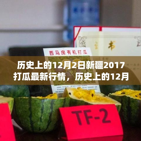 文质彬彬 第11页