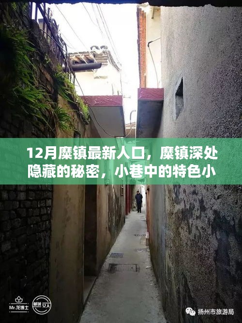 走马观花 第11页